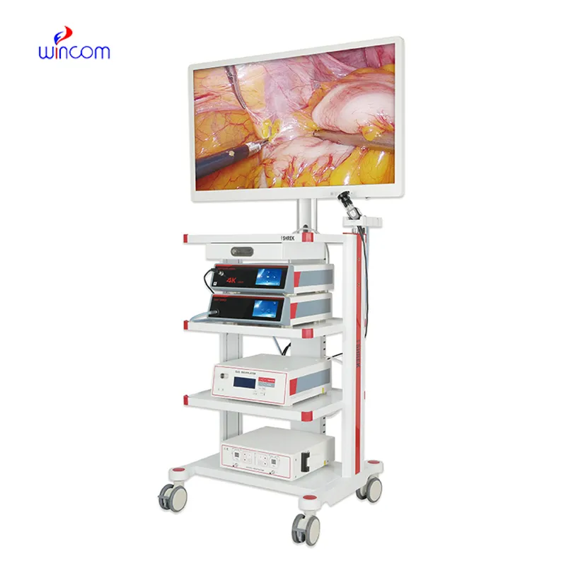 Care & Maintenance of full body x ray machine